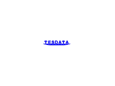 原厂直销Tesdata实时在线炉温测试仪ES 24-7图2