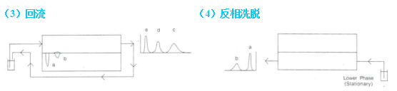 谱5