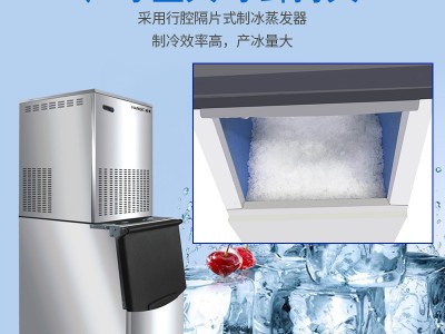 雪花制冰机IMS-60全自动雪花制冰机图3