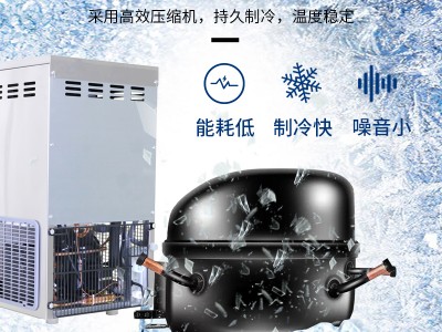 全自动雪花制冰机 IMS-40雪花制冰机 科研高校使用图2