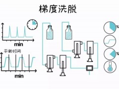 方法开发梯度洗脱问题汇总