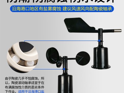 风速风向测量仪建筑工地塔吊风速仪高精度港口船用风速报警仪器图2