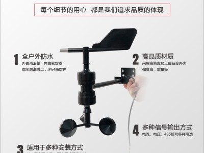 YGC-FSFX-T一体式风速风向传感器/变送器图2