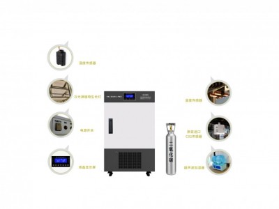智能二氧化碳人工气候箱 PRX-110B-CO2图1