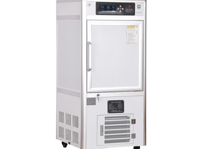 人工气候箱 RXZ-160图2