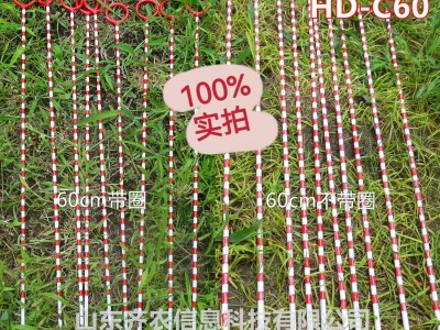 水土保持监测设备-水土保持监测专用测钎-HD-C6-山东齐农图2
