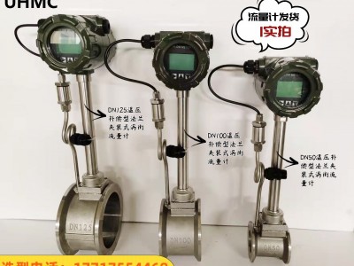 UHMC/有恒 UH-LUGB型防爆涡街流量计图3