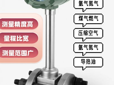 DN80一体式温压补偿涡街流量计图3