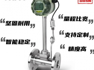 液化天然气流量计 DN100防爆型涡街流量计图2