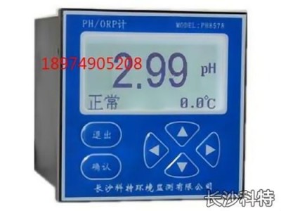 PH在线监测仪图1